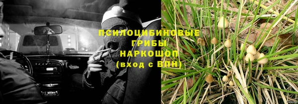 твердый Богородск