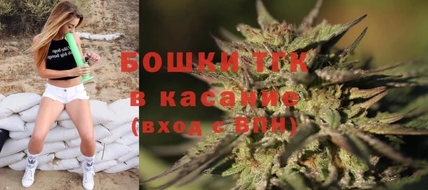 твердый Богородск