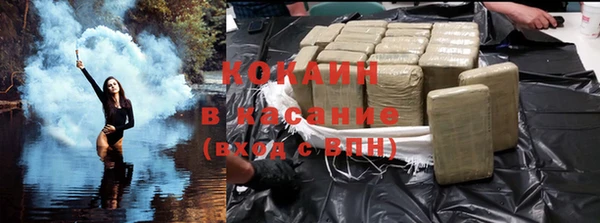 твердый Богородск