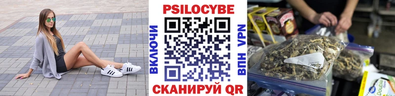 ОМГ ОМГ зеркало  Краснокаменск  Псилоцибиновые грибы GOLDEN TEACHER 